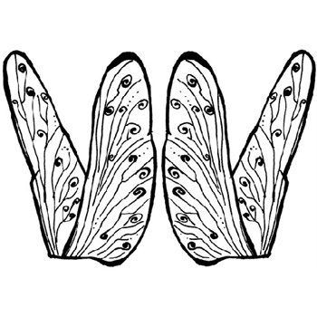 Timbri in gomma Ali Libellula