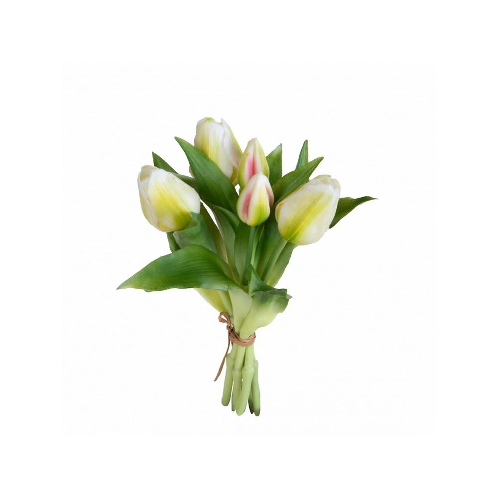 Tulipani Bianchi mazzo 5 pz 