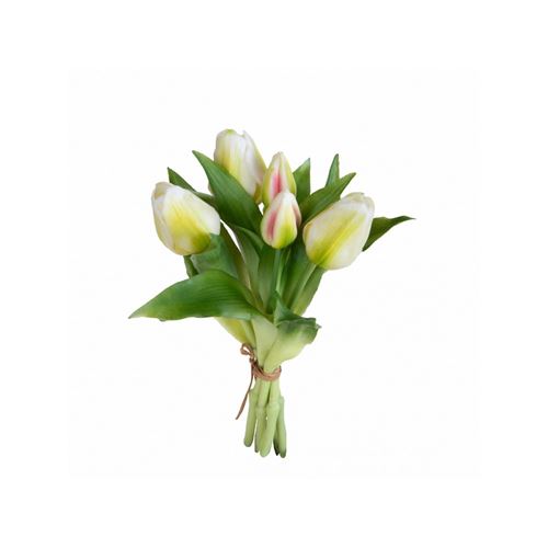 Tulipani Bianchi mazzo 5 pz 