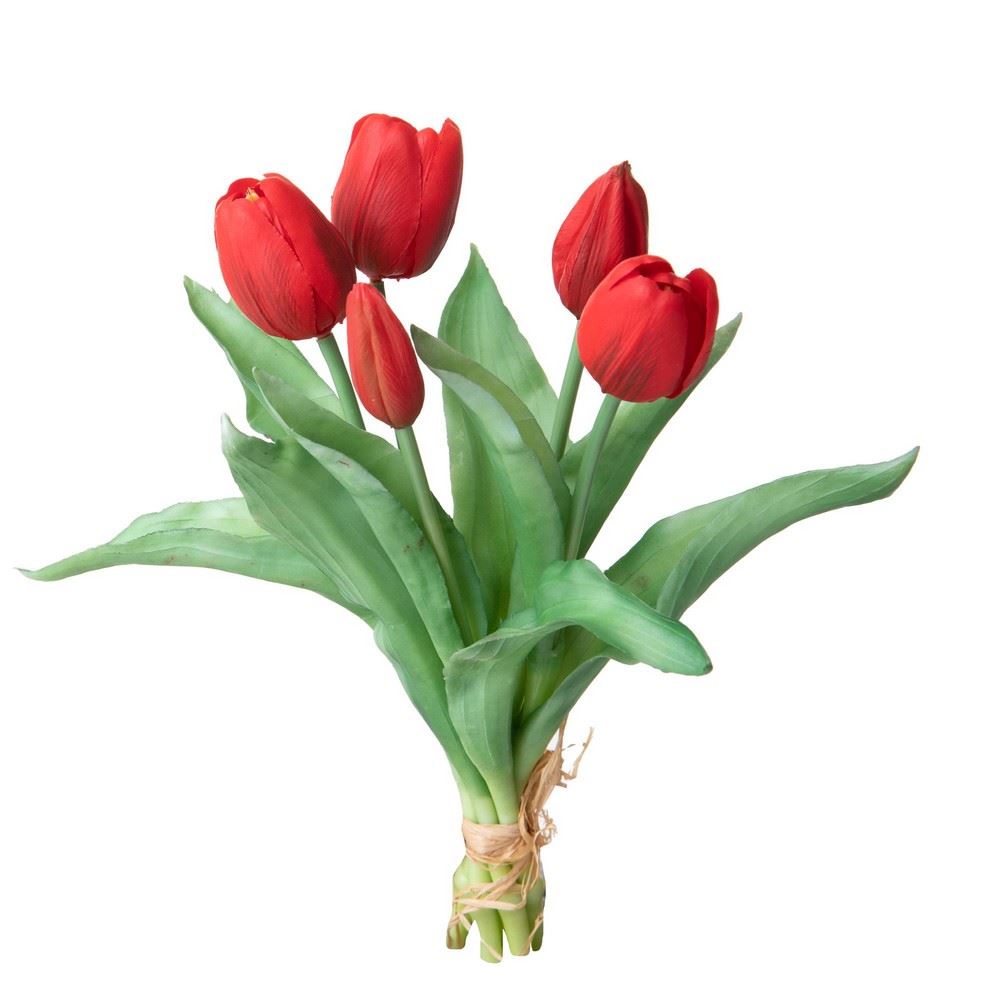 Tulipani Rossi mazzo 5 pz 