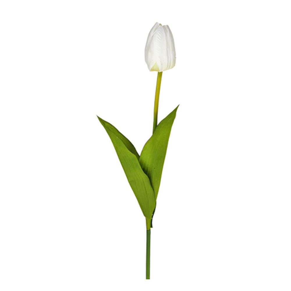 Tulipano Bianco 54 cm