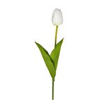 Tulipano Bianco 54 cm