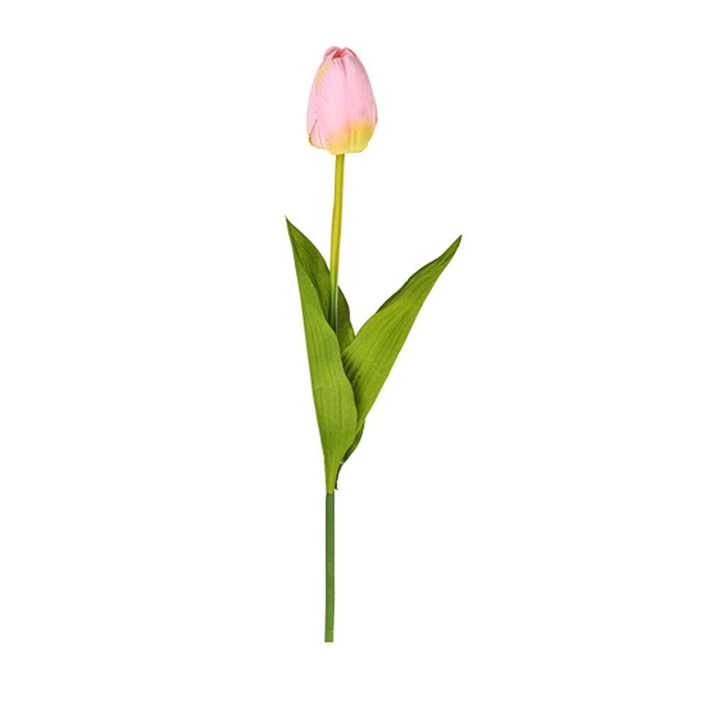 Tulipano Rosa 54 cm