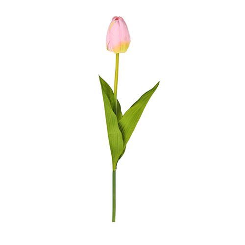 Tulipano Rosa 54 cm
